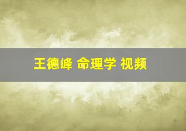 王德峰 命理学 视频